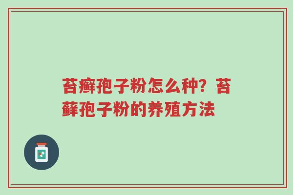 苔癣孢子粉怎么种?苔藓孢子粉的养殖方法-第1张图片-超越 苔癣孢子粉怎么种?苔藓孢子粉的养殖方法-第1张图片-超越