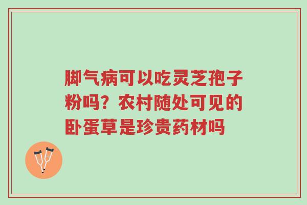 脚气病可以吃灵芝孢子粉吗?农村随处可见的卧蛋草是珍贵药材吗-第1张图片-超越 脚气病可以吃灵芝孢子粉吗?农村随处可见的卧蛋草是珍贵药材吗-第1张图片-超越