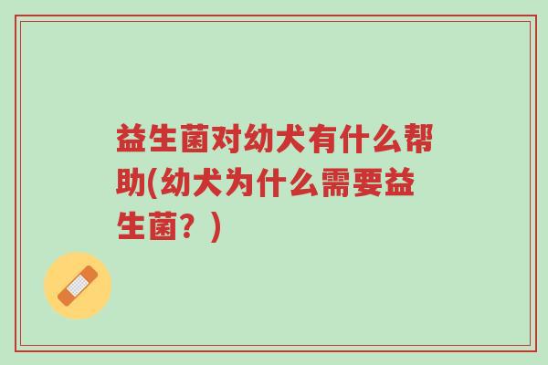 益生菌对幼犬有什么帮助(幼犬为什么需要益生菌?)-第1张图片-超越 益生菌对幼犬有什么帮助(幼犬为什么需要益生菌?)-第1张图片-超越