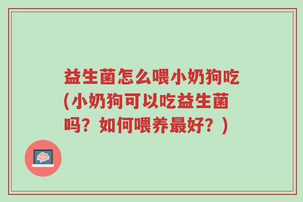 益生菌怎么喂小奶狗吃(小奶狗可以吃益生菌吗?如何喂养最好?)-第1张图片-超越 益生菌怎么喂小奶狗吃(小奶狗可以吃益生菌吗?如何喂养最好?)-第1张图片-超越