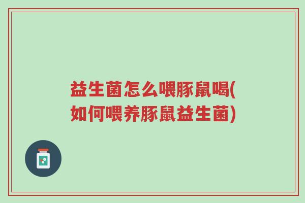 益生菌怎么喂豚鼠喝(如何喂养豚鼠益生菌)-第1张图片-超越 益生菌怎么喂豚鼠喝(如何喂养豚鼠益生菌)-第1张图片-超越