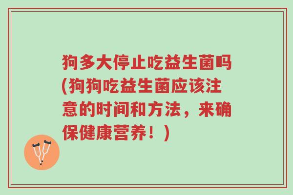 狗多大停止吃益生菌吗(狗狗吃益生菌应该注意的时间和方法,来确保健康营养!)-第1张图片-超越 狗多大停止吃益生菌吗(狗狗吃益生菌应该注意的时间和方法,来确保健康营养!)-第1张图片-超越