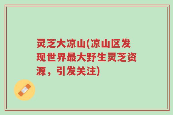 灵芝大凉山(凉山区发现世界最大野生灵芝资源，引发关注)-第1张图片-超越