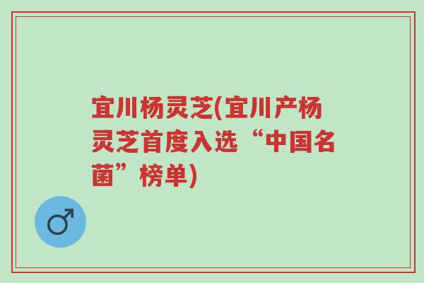 宜川杨灵芝(宜川产杨灵芝首度入选“中国名菌”榜单)-第1张图片-超越 宜川杨灵芝(宜川产杨灵芝首度入选“中国名菌”榜单)-第1张图片-超越