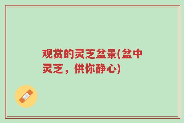 观赏的灵芝盆景(盆中灵芝,供你静心)-第1张图片-超越 观赏的灵芝盆景(盆中灵芝,供你静心)-第1张图片-超越