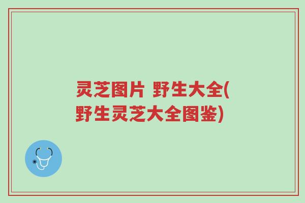 灵芝图片 野生大全(野生灵芝大全图鉴)-第1张图片-超越 灵芝图片 野生大全(野生灵芝大全图鉴)-第1张图片-超越