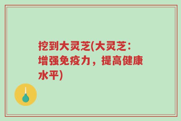挖到大灵芝(大灵芝：增强免疫力，提高健康水平)-第1张图片-超越
