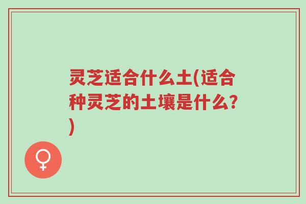 灵芝适合什么土(适合种灵芝的土壤是什么?)-第1张图片-超越 灵芝适合什么土(适合种灵芝的土壤是什么?)-第1张图片-超越