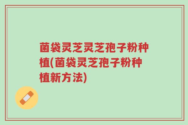菌袋灵芝灵芝孢子粉种植(菌袋灵芝孢子粉种植新方法)-第1张图片-超越 菌袋灵芝灵芝孢子粉种植(菌袋灵芝孢子粉种植新方法)-第1张图片-超越