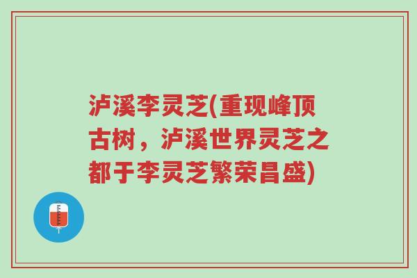泸溪李灵芝(重现峰顶古树,泸溪世界灵芝之都于李灵芝繁荣昌盛)-第1张图片-超越 泸溪李灵芝(重现峰顶古树,泸溪世界灵芝之都于李灵芝繁荣昌盛)-第1张图片-超越