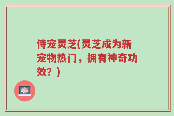 侍宠灵芝(灵芝成为新宠物热门,拥有神奇功效?)-第1张图片-超越 侍宠灵芝(灵芝成为新宠物热门,拥有神奇功效?)-第1张图片-超越