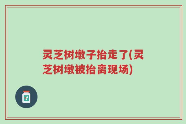 灵芝树墩子抬走了(灵芝树墩被抬离现场)-第1张图片-超越 灵芝树墩子抬走了(灵芝树墩被抬离现场)-第1张图片-超越