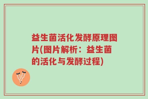 益生菌活化发酵原理图片(图片解析:益生菌的活化与发酵过程)-第1张图片-超越 益生菌活化发酵原理图片(图片解析:益生菌的活化与发酵过程)-第1张图片-超越