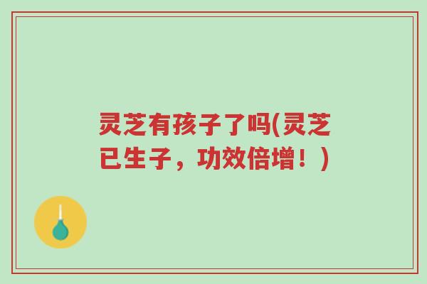 灵芝有孩子了吗(灵芝已生子,功效倍增!)-第1张图片-超越 灵芝有孩子了吗(灵芝已生子,功效倍增!)-第1张图片-超越