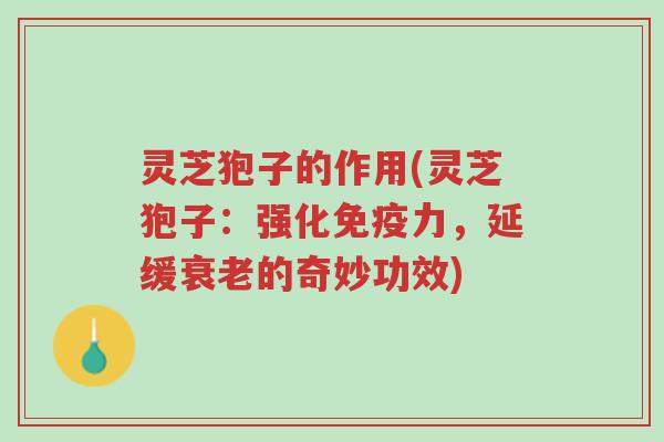 灵芝狍子的作用(灵芝狍子:强化免疫力,延缓衰老的奇妙功效)-第1张图片-超越 灵芝狍子的作用(灵芝狍子:强化免疫力,延缓衰老的奇妙功效)-第1张图片-超越