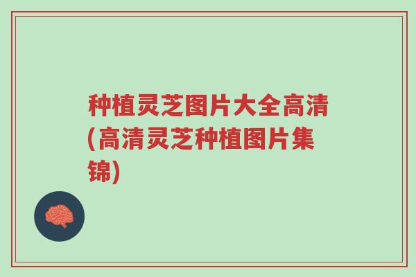 种植灵芝图片大全高清(高清灵芝种植图片集锦)-第1张图片-超越 种植灵芝图片大全高清(高清灵芝种植图片集锦)-第1张图片-超越