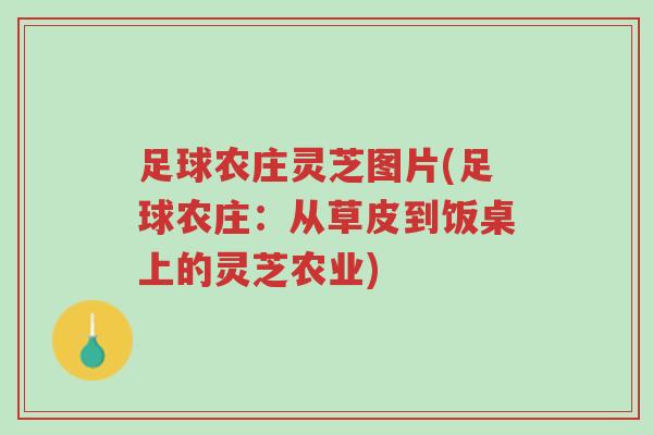 足球农庄灵芝图片(足球农庄:从草皮到饭桌上的灵芝农业)-第1张图片-超越 足球农庄灵芝图片(足球农庄:从草皮到饭桌上的灵芝农业)-第1张图片-超越