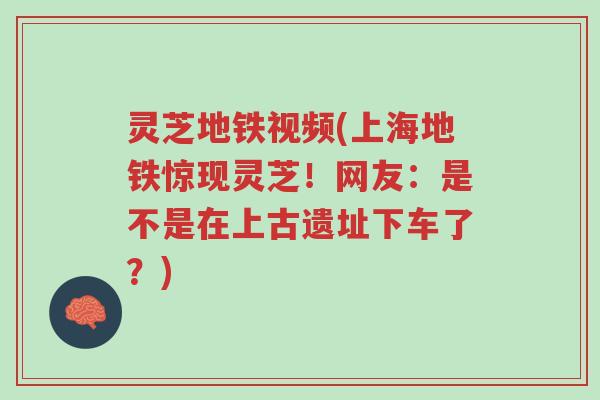 灵芝地铁视频(上海地铁惊现灵芝!网友:是不是在上古遗址下车了?)-第1张图片-超越 灵芝地铁视频(上海地铁惊现灵芝!网友:是不是在上古遗址下车了?)-第1张图片-超越