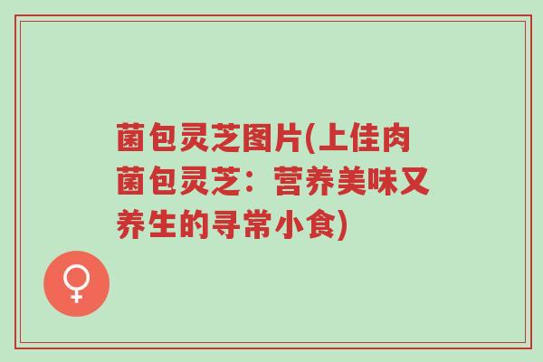菌包灵芝图片(上佳肉菌包灵芝:营养美味又养生的寻常小食)-第1张图片-超越 菌包灵芝图片(上佳肉菌包灵芝:营养美味又养生的寻常小食)-第1张图片-超越