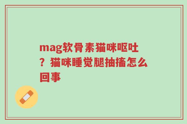 mag软骨素猫咪呕吐?猫咪睡觉腿抽搐怎么回事-第1张图片-超越 mag软骨素猫咪呕吐?猫咪睡觉腿抽搐怎么回事-第1张图片-超越