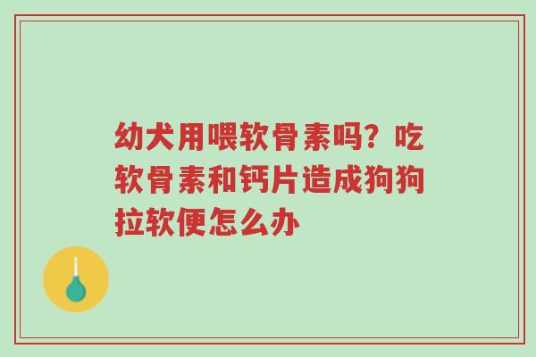 幼犬用喂软骨素吗?吃软骨素和钙片造成狗狗拉软便怎么办-第1张图片-超越 幼犬用喂软骨素吗?吃软骨素和钙片造成狗狗拉软便怎么办-第1张图片-超越