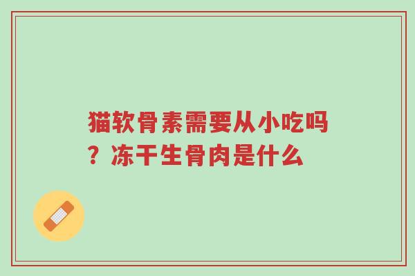 猫软骨素需要从小吃吗?冻干生骨肉是什么-第1张图片-超越 猫软骨素需要从小吃吗?冻干生骨肉是什么-第1张图片-超越