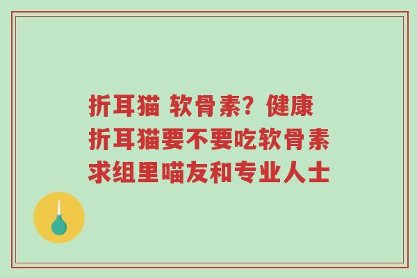 折耳猫 软骨素?健康折耳猫要不要吃软骨素求组里喵友和专业人士-第1张图片-超越 折耳猫 软骨素?健康折耳猫要不要吃软骨素求组里喵友和专业人士-第1张图片-超越