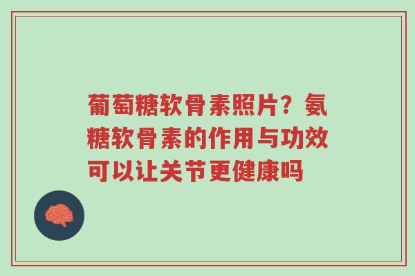 葡萄糖软骨素照片?氨糖软骨素的作用与功效可以让关节更健康吗-第1张图片-超越 葡萄糖软骨素照片?氨糖软骨素的作用与功效可以让关节更健康吗-第1张图片-超越