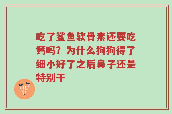 吃了鲨鱼软骨素还要吃钙吗？为什么狗狗得了细小好了之后鼻子还是特别干-第1张图片-超越