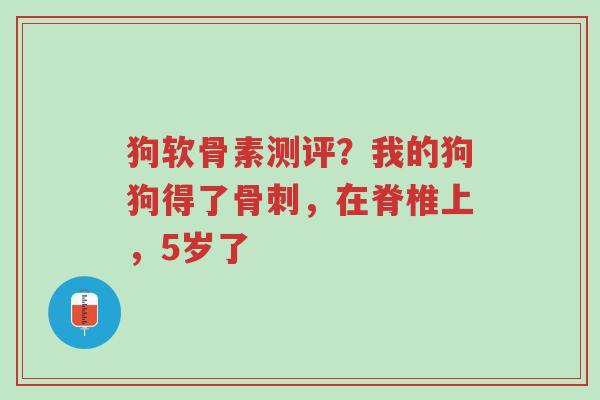 狗软骨素测评？我的狗狗得了骨刺，在脊椎上，5岁了-第1张图片-超越
