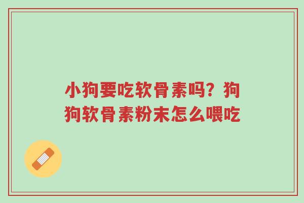 小狗要吃软骨素吗?狗狗软骨素粉末怎么喂吃-第1张图片-超越 小狗要吃软骨素吗?狗狗软骨素粉末怎么喂吃-第1张图片-超越