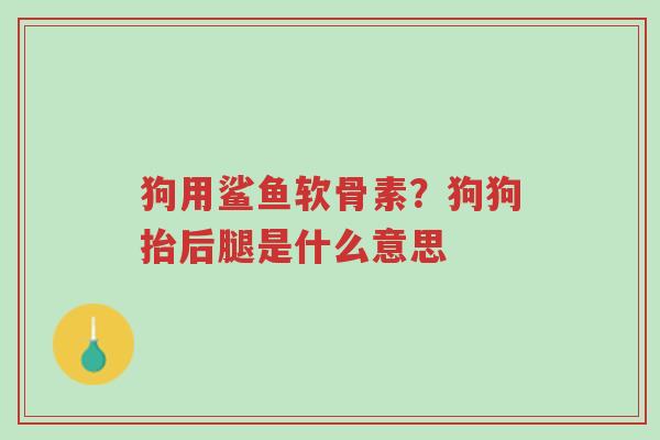 狗用鲨鱼软骨素?狗狗抬后腿是什么意思-第1张图片-超越 狗用鲨鱼软骨素?狗狗抬后腿是什么意思-第1张图片-超越