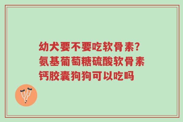 幼犬要不要吃软骨素?氨基葡萄糖硫酸软骨素钙胶囊狗狗可以吃吗-第1张图片-超越 幼犬要不要吃软骨素?氨基葡萄糖硫酸软骨素钙胶囊狗狗可以吃吗-第1张图片-超越