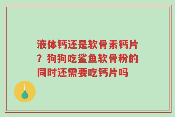 液体钙还是软骨素钙片?狗狗吃鲨鱼软骨粉的同时还需要吃钙片吗-第1张图片-超越 液体钙还是软骨素钙片?狗狗吃鲨鱼软骨粉的同时还需要吃钙片吗-第1张图片-超越