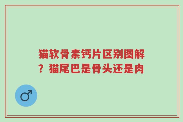 猫软骨素钙片区别图解?猫尾巴是骨头还是肉-第1张图片-超越 猫软骨素钙片区别图解?猫尾巴是骨头还是肉-第1张图片-超越