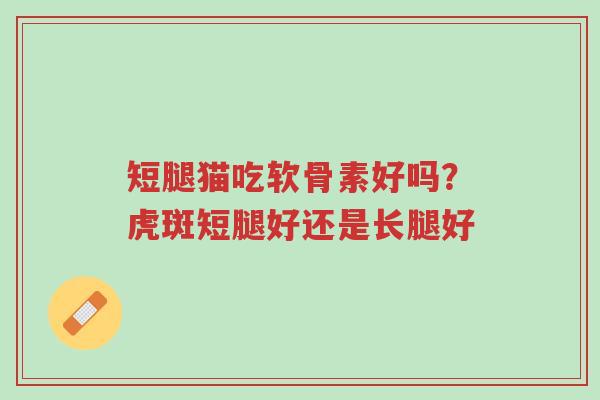 短腿猫吃软骨素好吗?虎斑短腿好还是长腿好-第1张图片-超越 短腿猫吃软骨素好吗?虎斑短腿好还是长腿好-第1张图片-超越