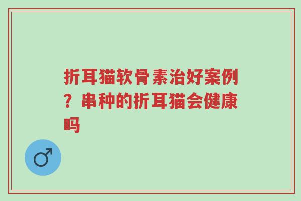 折耳猫软骨素治好案例?串种的折耳猫会健康吗-第1张图片-超越 折耳猫软骨素治好案例?串种的折耳猫会健康吗-第1张图片-超越