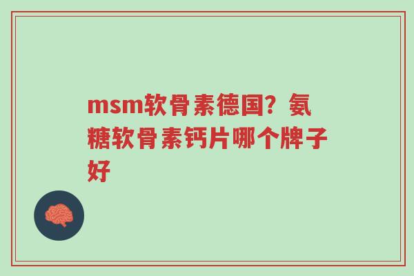 msm软骨素德国?氨糖软骨素钙片哪个牌子好-第1张图片-超越 msm软骨素德国?氨糖软骨素钙片哪个牌子好-第1张图片-超越