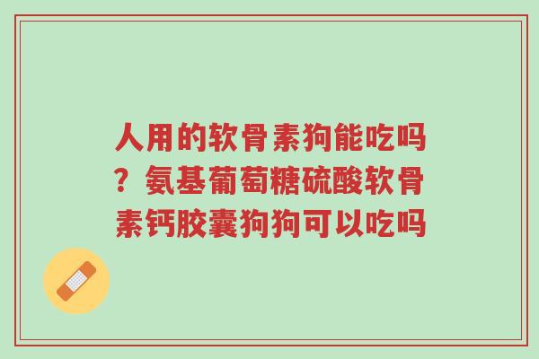 人用的软骨素狗能吃吗？氨基葡萄糖硫酸软骨素钙胶囊狗狗可以吃吗-第1张图片-超越