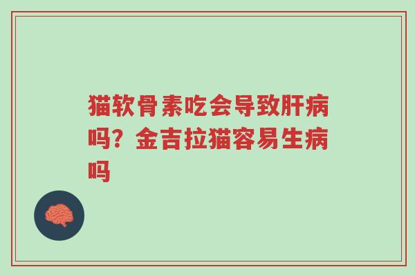 猫软骨素吃会导致肝病吗?金吉拉猫容易生病吗-第1张图片-超越 猫软骨素吃会导致肝病吗?金吉拉猫容易生病吗-第1张图片-超越