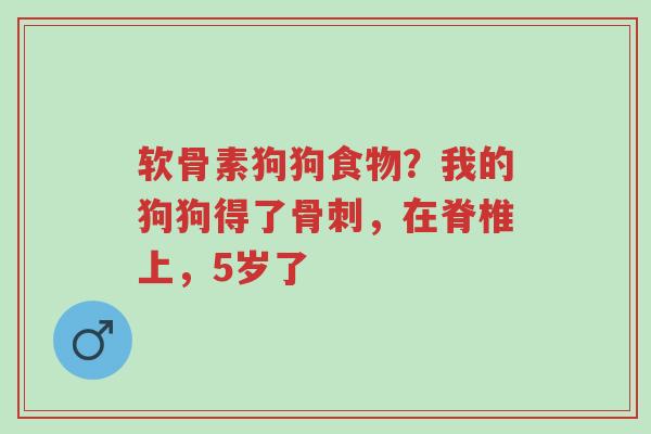 软骨素狗狗食物?我的狗狗得了骨刺,在脊椎上,5岁了-第1张图片-超越 软骨素狗狗食物?我的狗狗得了骨刺,在脊椎上,5岁了-第1张图片-超越