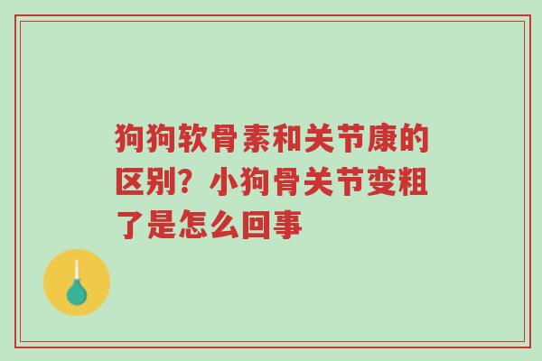 狗狗软骨素和关节康的区别?小狗骨关节变粗了是怎么回事-第1张图片-超越 狗狗软骨素和关节康的区别?小狗骨关节变粗了是怎么回事-第1张图片-超越