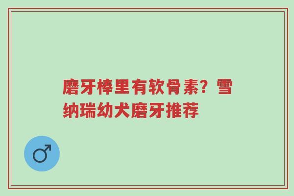磨牙棒里有软骨素?雪纳瑞幼犬磨牙推荐-第1张图片-超越 磨牙棒里有软骨素?雪纳瑞幼犬磨牙推荐-第1张图片-超越