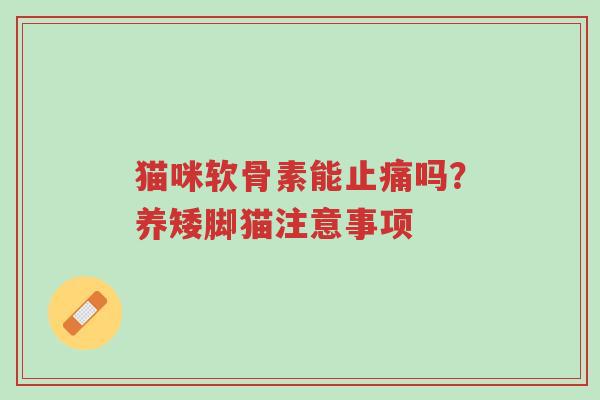 猫咪软骨素能止痛吗?养矮脚猫注意事项-第1张图片-超越 猫咪软骨素能止痛吗?养矮脚猫注意事项-第1张图片-超越