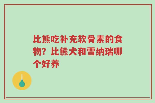 比熊吃补充软骨素的食物?比熊犬和雪纳瑞哪个好养-第1张图片-超越 比熊吃补充软骨素的食物?比熊犬和雪纳瑞哪个好养-第1张图片-超越