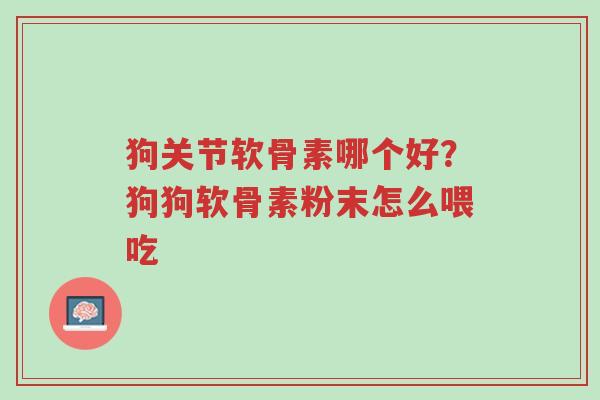狗关节软骨素哪个好?狗狗软骨素粉末怎么喂吃-第1张图片-超越 狗关节软骨素哪个好?狗狗软骨素粉末怎么喂吃-第1张图片-超越