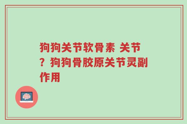 狗狗关节软骨素 关节？狗狗骨胶原关节灵副作用-第1张图片-超越