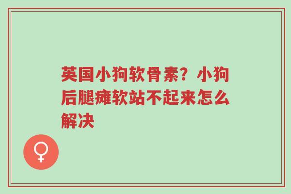 英国小狗软骨素?小狗后腿瘫软站不起来怎么解决-第1张图片-超越 英国小狗软骨素?小狗后腿瘫软站不起来怎么解决-第1张图片-超越