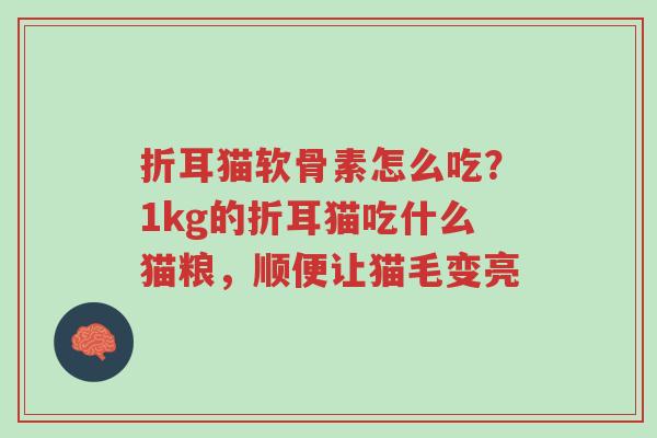 折耳猫软骨素怎么吃?1kg的折耳猫吃什么猫粮,顺便让猫毛变亮-第1张图片-超越 折耳猫软骨素怎么吃?1kg的折耳猫吃什么猫粮,顺便让猫毛变亮-第1张图片-超越
