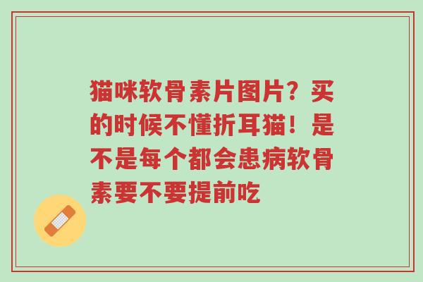 猫咪软骨素片图片？买的时候不懂折耳猫！是不是每个都会患病软骨素要不要提前吃-第1张图片-超越